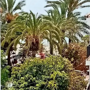 Appartement Beach Old Town, Estepona